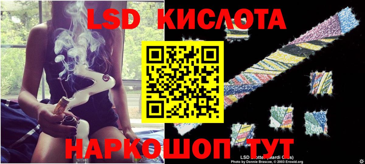 Галлюциногенные грибы Сунжа
