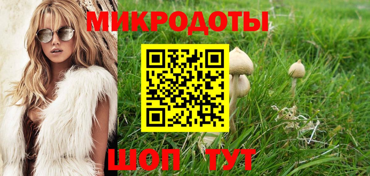 Псилоцибиновые грибы Magic Shrooms Сунжа