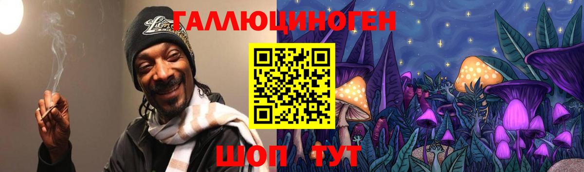 Псилоцибиновые грибы прущие грибы  Вход с VPN  Псилоцибиновые грибы Psilocybe  Сунжа 